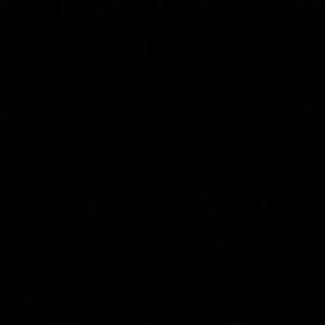 Meet your Posher, Darius